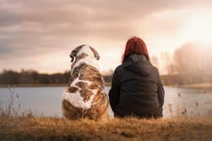 South Africa's Top pet friendly Accommodation
